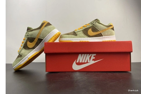 DH5360-300 Olive Nike Low Dusty Dunk 1003